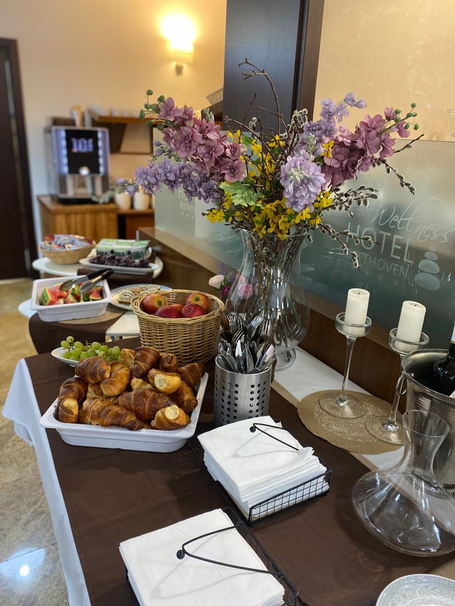 Wellness Hotel Beethoven 호무토프 외부 사진